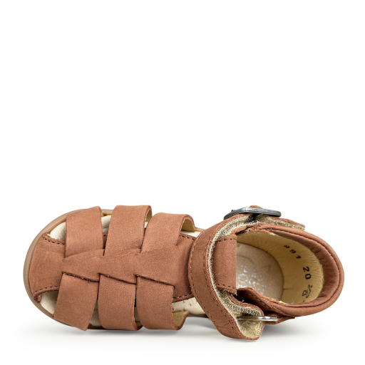 Pom d'api sandals Sandal brown