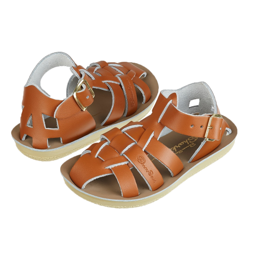 Salt water sandal sandals Salt-Water Shark sandal in brown