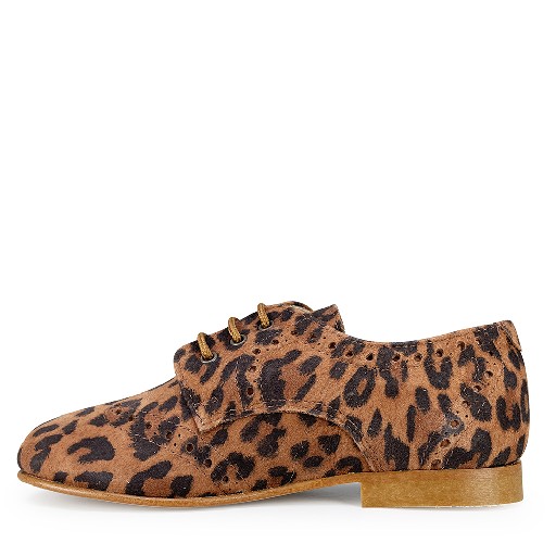 Beberlis Derby's Leopard derby shoe with brogues