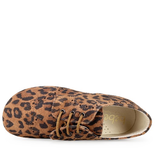 Beberlis Derby's Leopard derby shoe with brogues