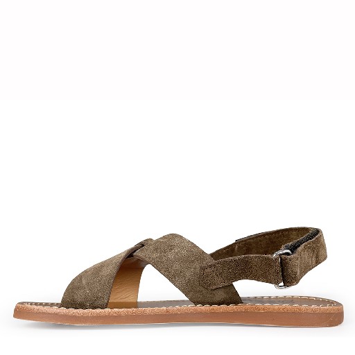 Pom d'api sandals Brown sandal with crossed band