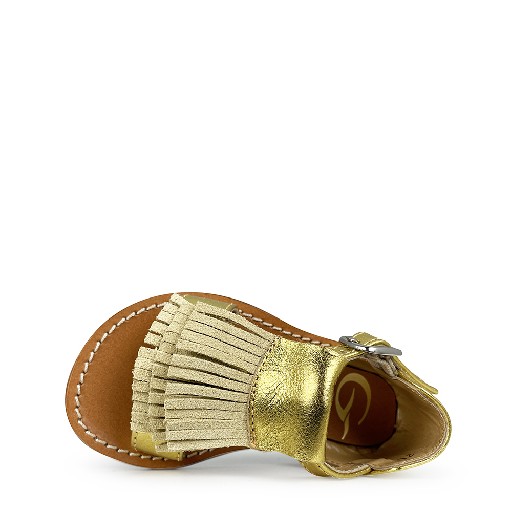 Gallucci sandals Golden sandal with fringes