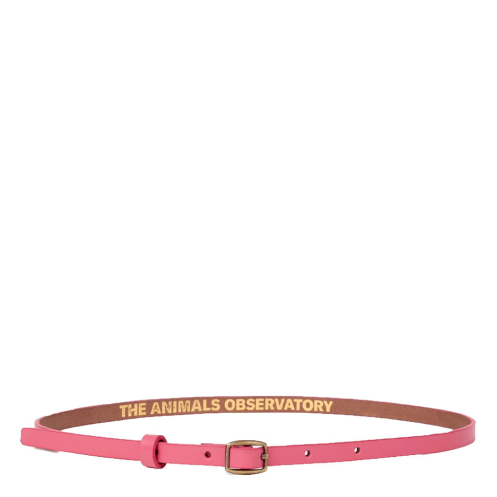 The Animals Observatory - Pink leather belt TAO