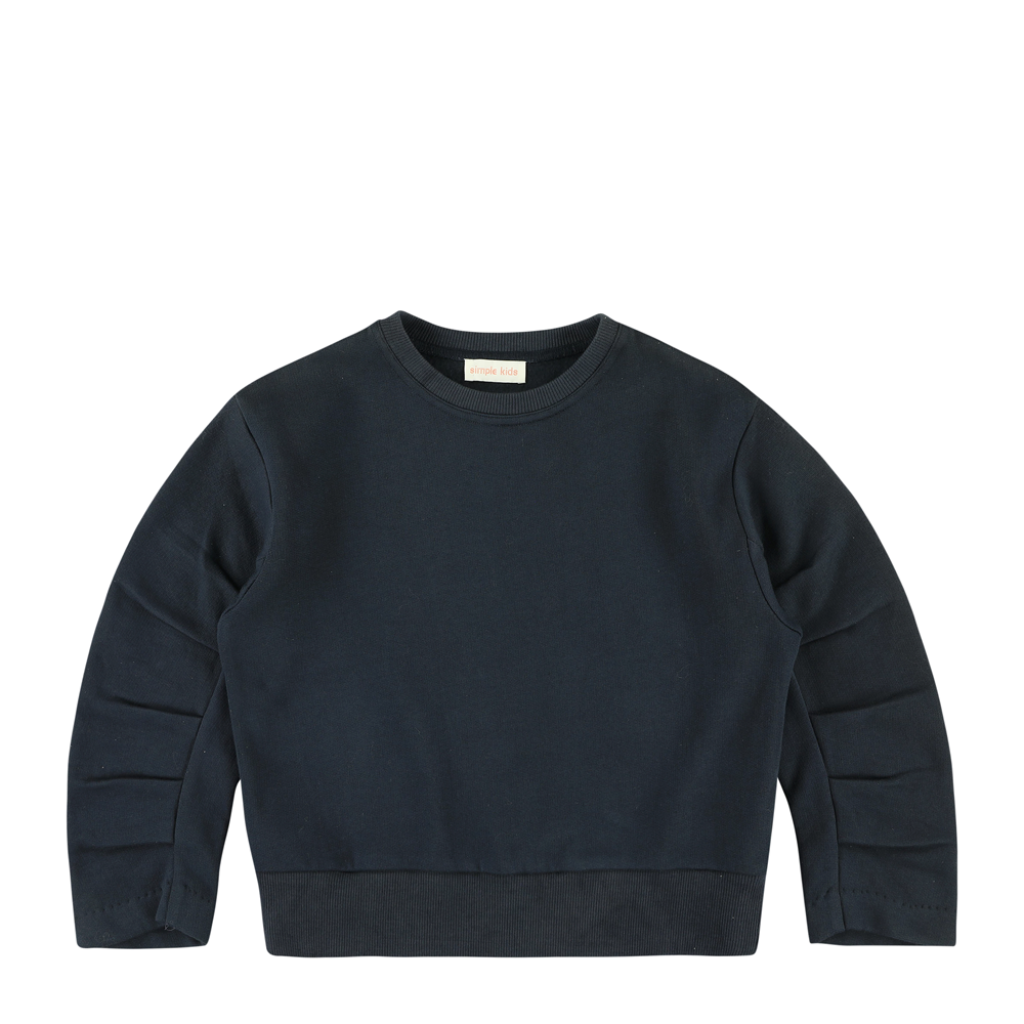 Simple Kids sweaters Blauwe sweater met detail aan mouw