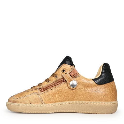 Rondinella trainer Sneaker brown and black
