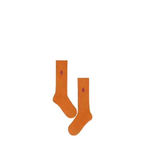 Kids shoe online The Animals Observatory knee socks Orange skunk socks with logo
